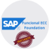 academia SAP curso sap funcional ecc foundation Icone de Curso SAP